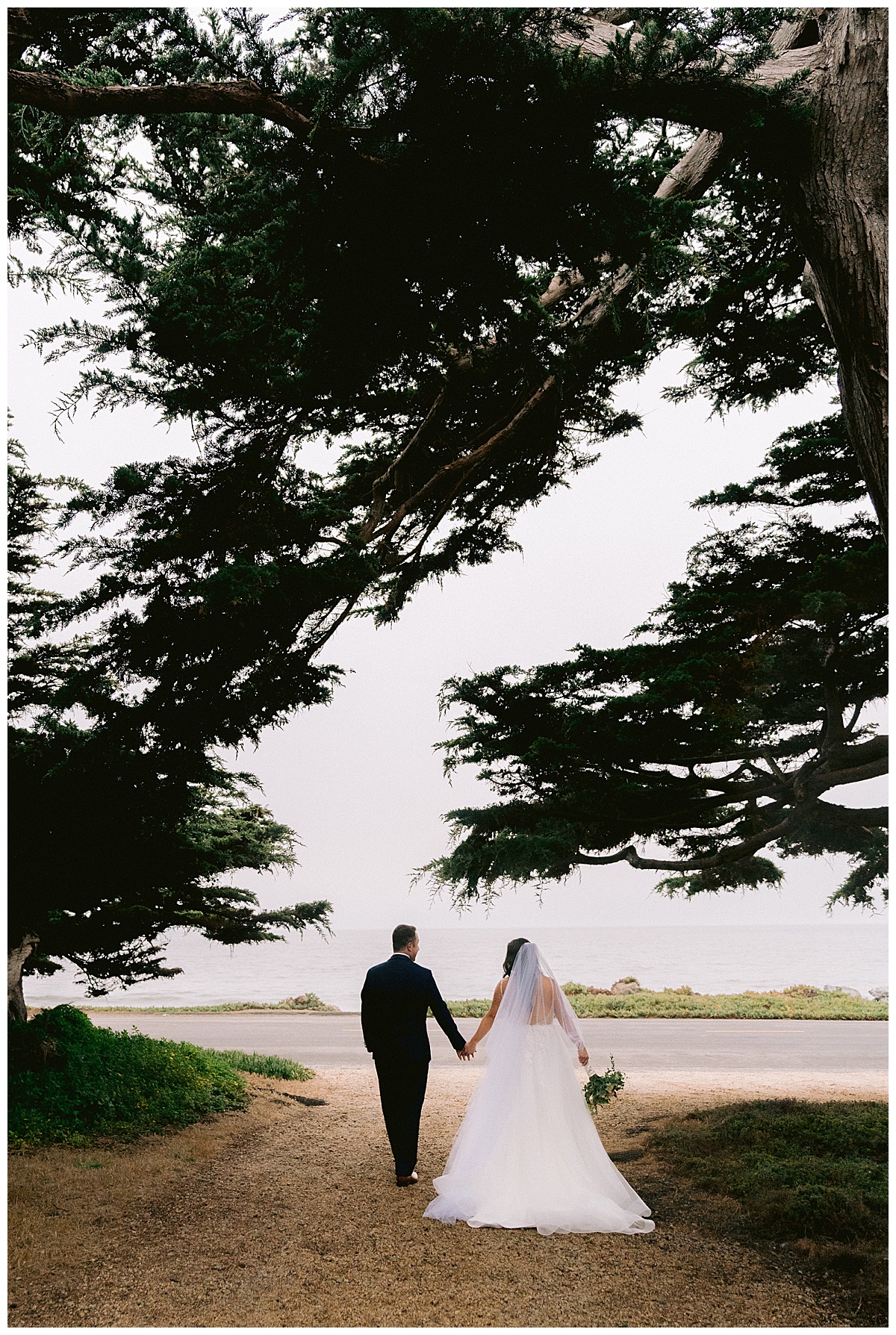 Brianna and Ryan's Half Moon Bay Elopement couple's portraits