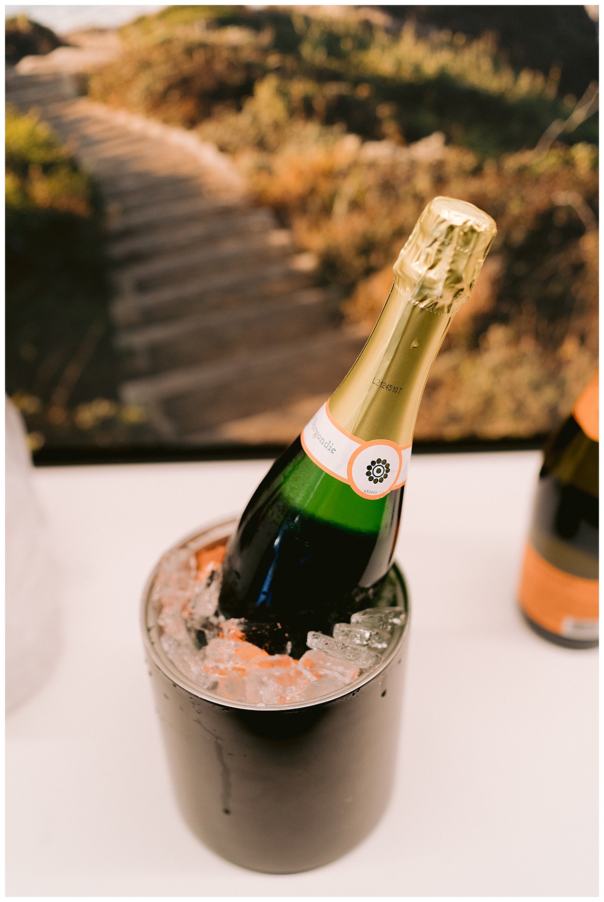Champagne on ice