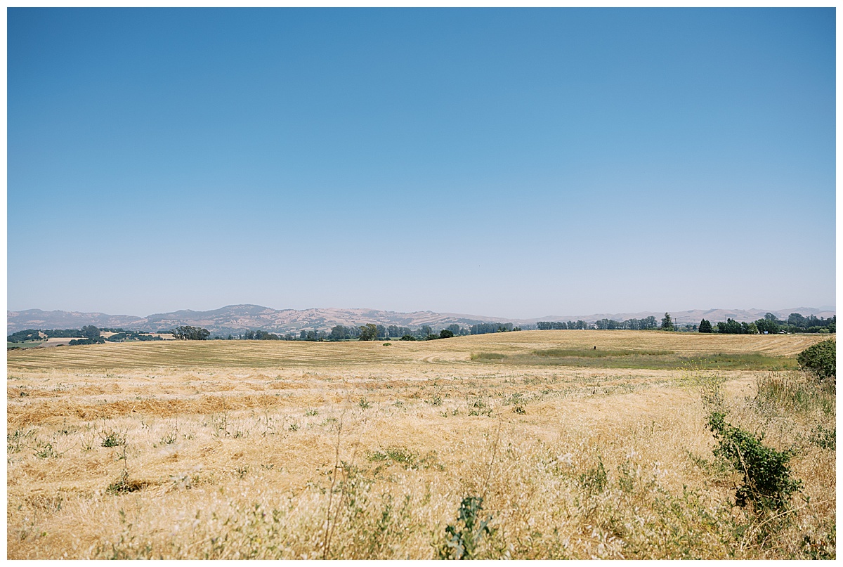 VIEW FROM CEREMONY SPACE AT CARNEROS IN NAPA CALIFORNIA