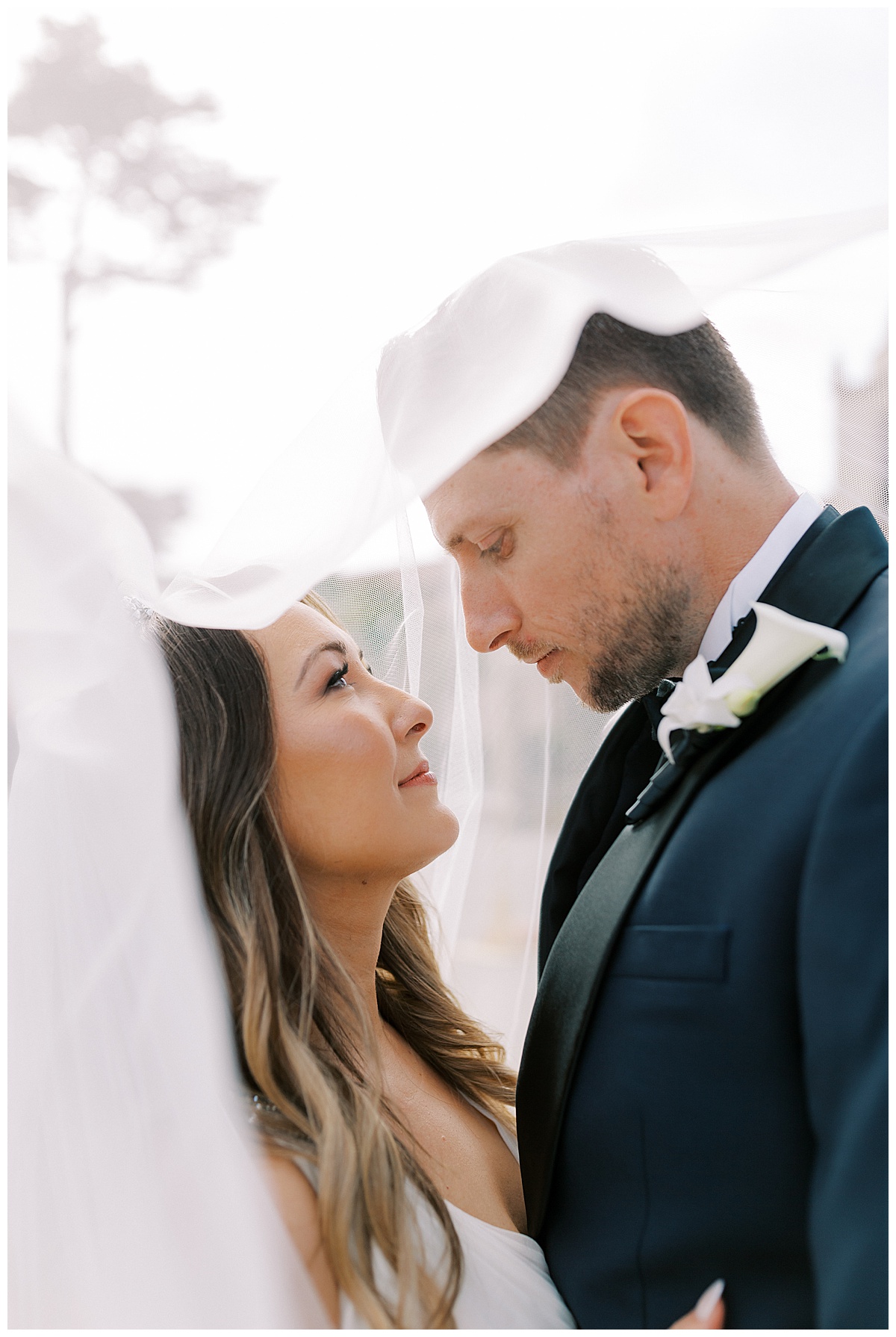 bride and groom under the veil at carmel mission basilica