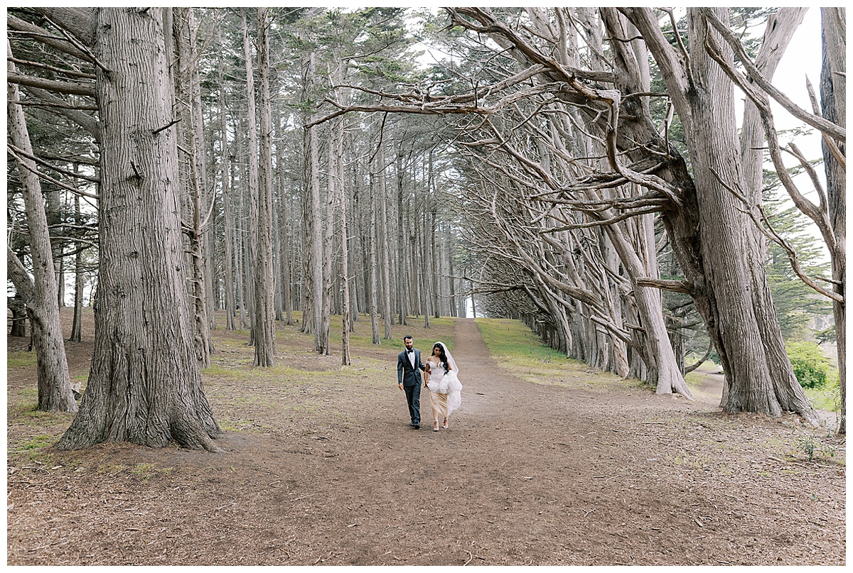 wide landscape photo of couple walking through trees in half moon bay