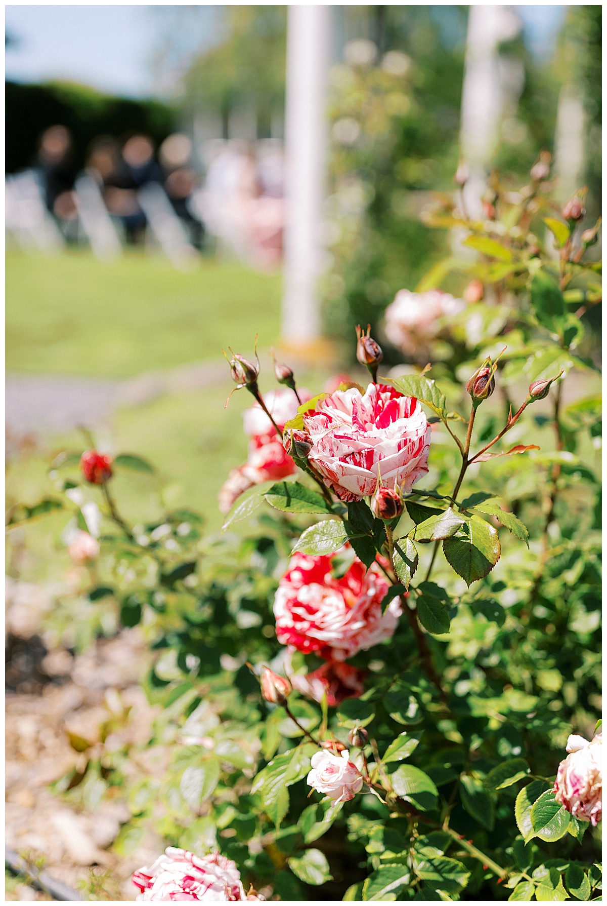garden-valley-ranch-wedding-photos-apollo-fotografie_0012.jpg