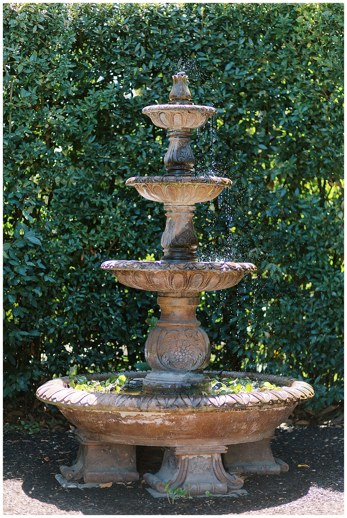 garden-valley-ranch-wedding-photos-apollo-fotografie_0013.jpg