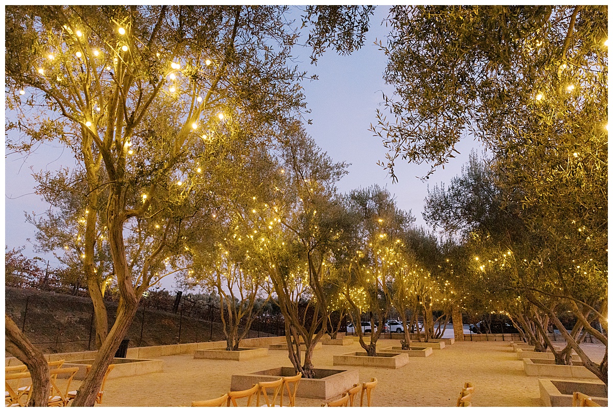 leal-vineyards-wedding-photos_0066.jpg