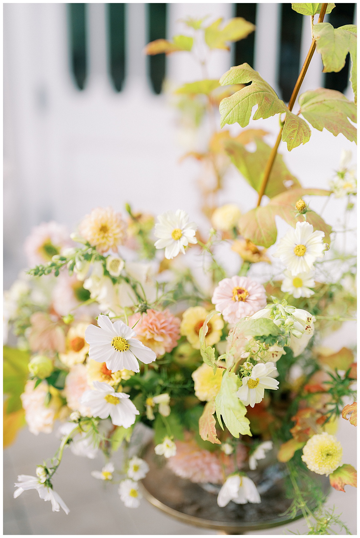 sf-conservatory-of-flowers-wedding-photos_0040.jpg