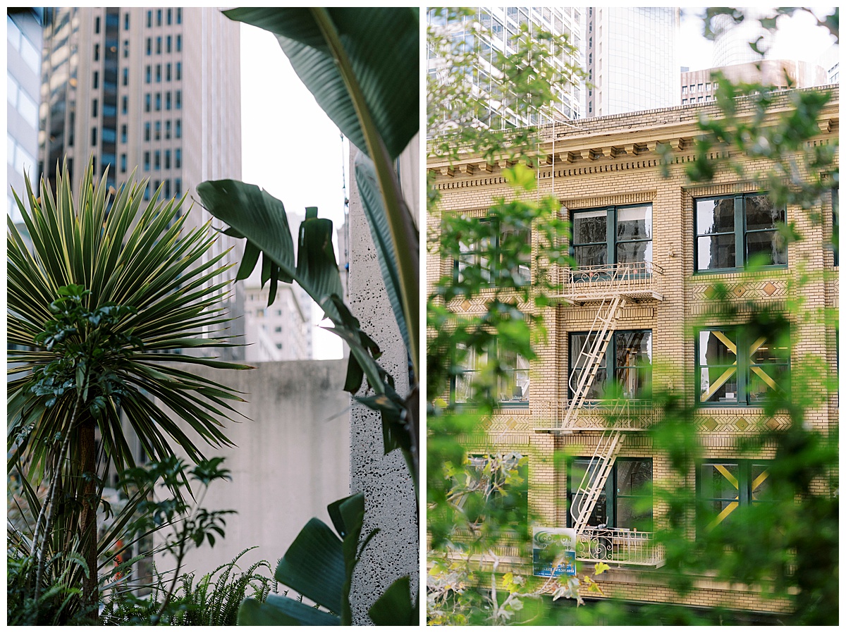sf-plant-connection-elopement_0039.jpg