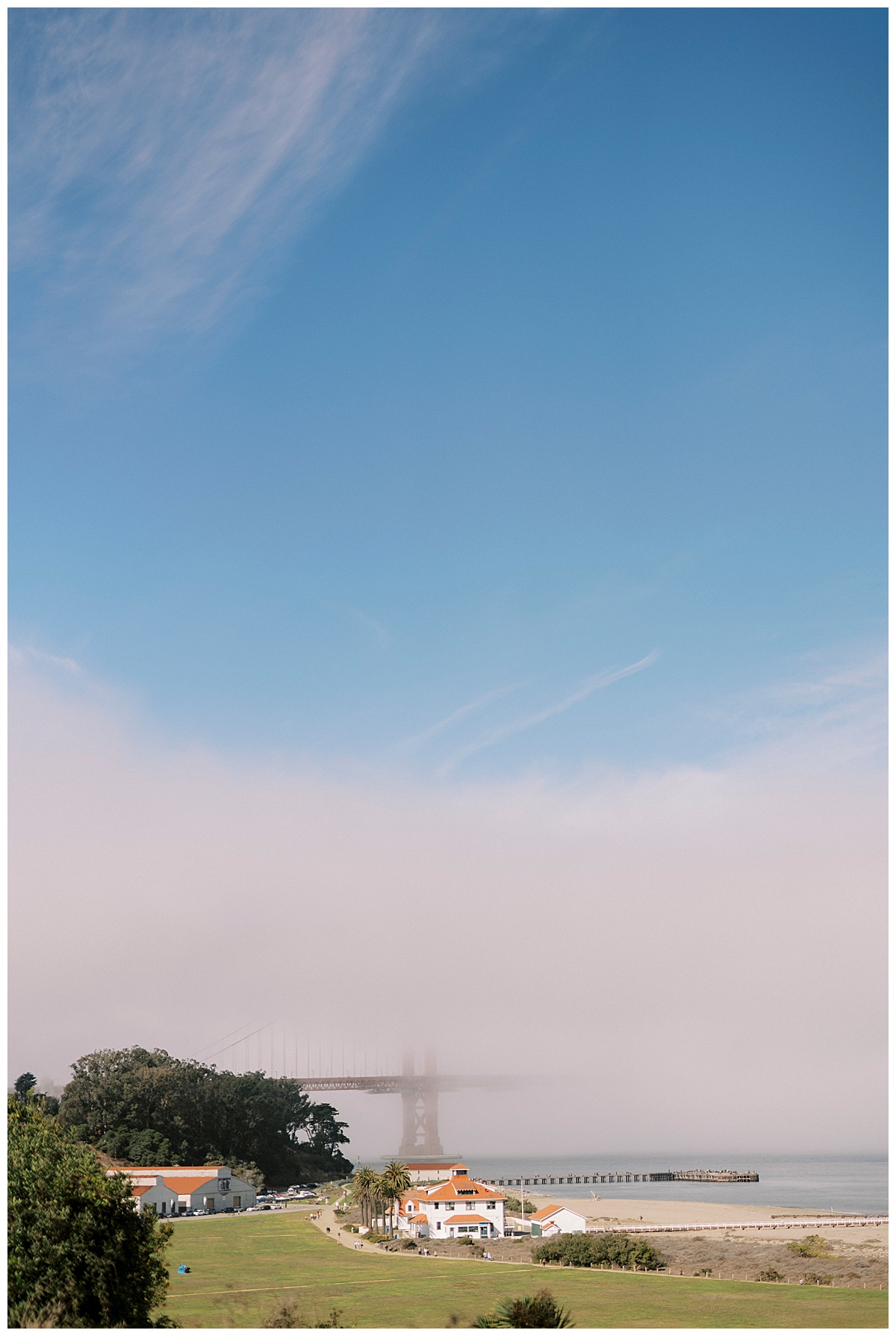 sf-plant-connection-elopement_0061.jpg
